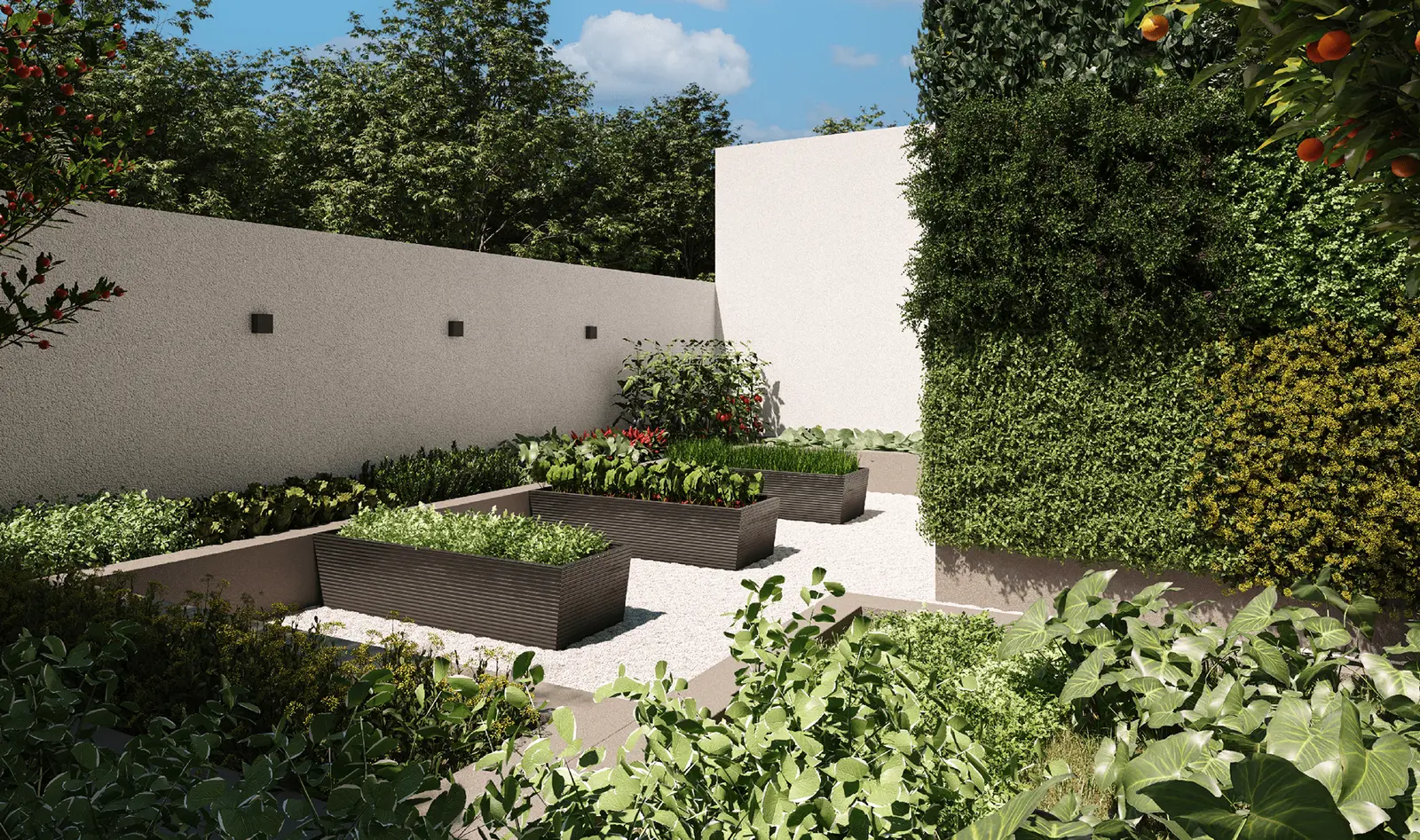 Horta do Sangiovese — canteiros elevados e plantas medicinais (perspectiva artística)